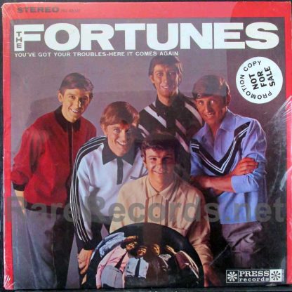 the fortunes - you've got your troubles LP